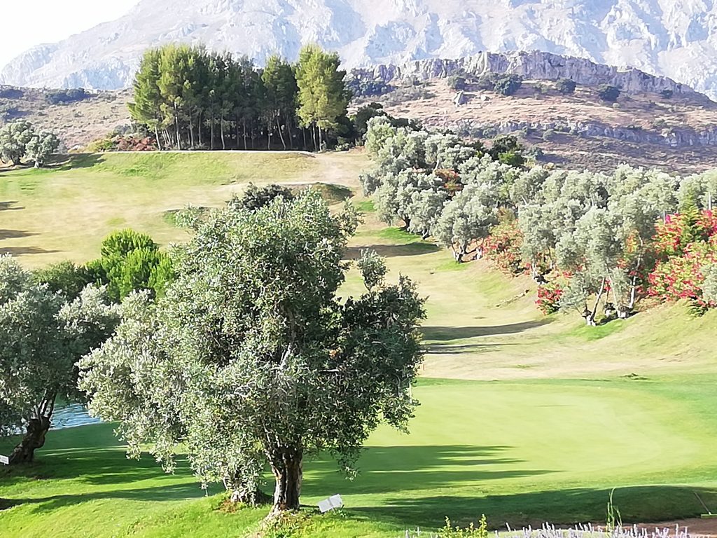 Golf entre monts et vallées, beau à jouer, magnifique à admirer.